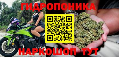 твердый Ставрополь