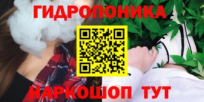 индика Тверь