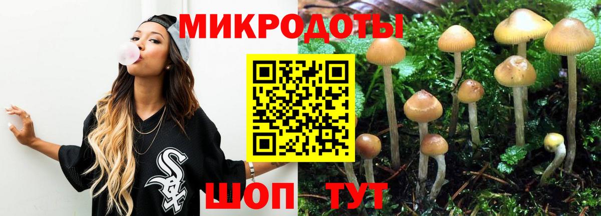 Острогожск  Псилоцибиновые грибы Magic Shrooms  Вход с VPN 