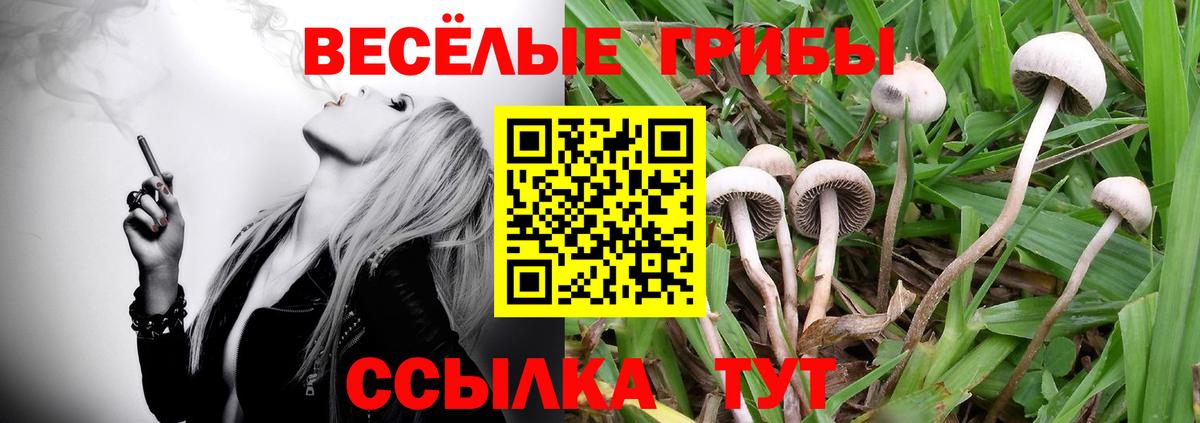 Галлюциногенные грибы Magic Shrooms Острогожск